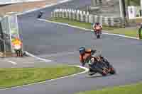 Middle Group Orange Bikes